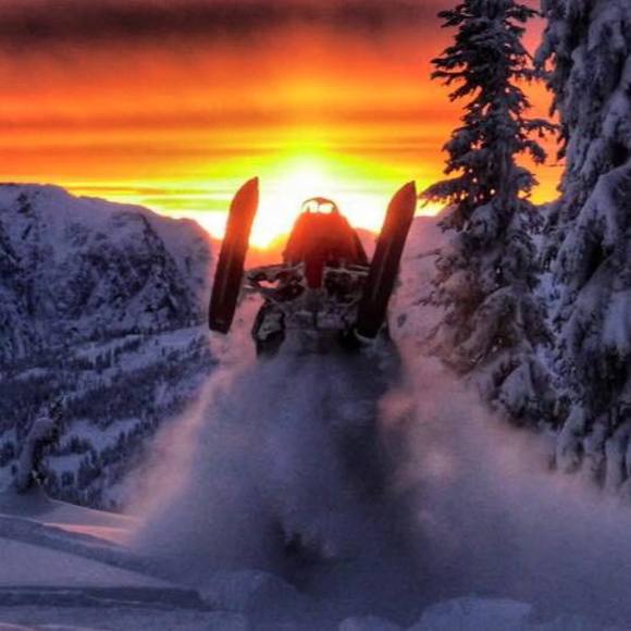 Meet your Posher, Andrew - Picture 1 of 1